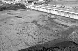 長浜上八ノ久保遺跡