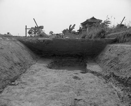 津島西美田遺跡