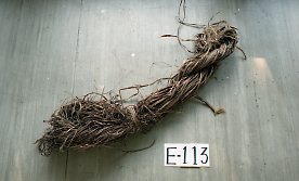 E-113