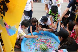 若鷹夏祭り5の写真