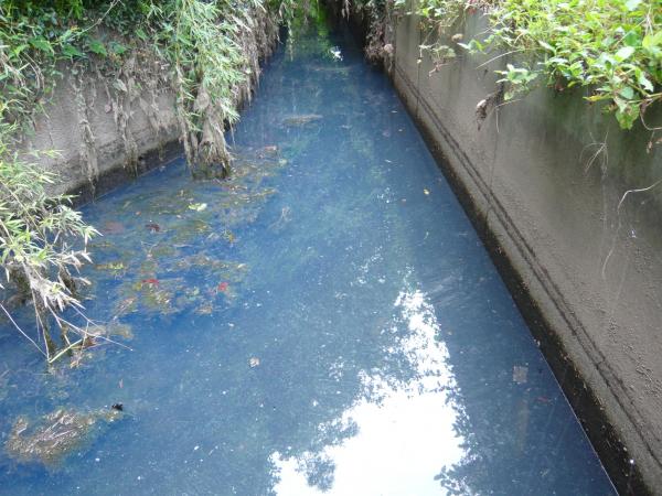 水路が油により白濁した写真