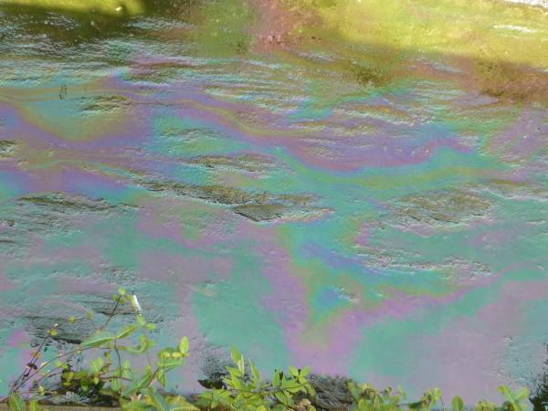 油流出による油膜の写真