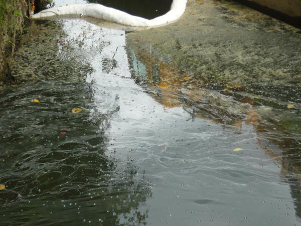 水路に広がる油膜の写真