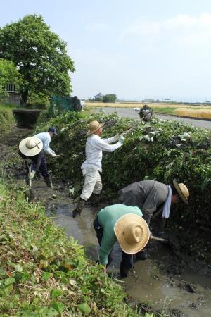 川と水を守る運動の写真