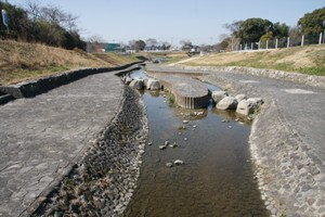 市民の森公園の写真