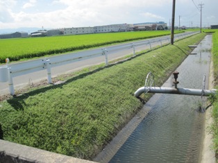 下富久8月の写真