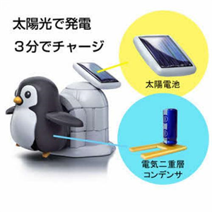 とことこペンギンの写真