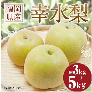 幸水梨 幸水梨
