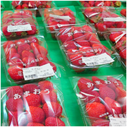 いちご(あまおう)写真 いちご(あまおう)写真