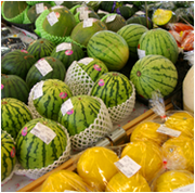 スイカとかんきつ類写真 スイカとかんきつ類写真