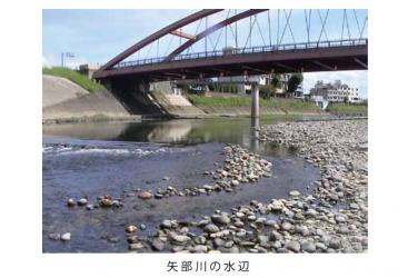 矢部川の水辺の写真 矢部川の水辺の写真