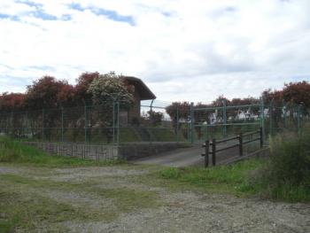 津島取水場写真2 津島取水場写真2